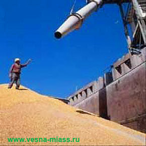 Россия увеличит производство зерна
